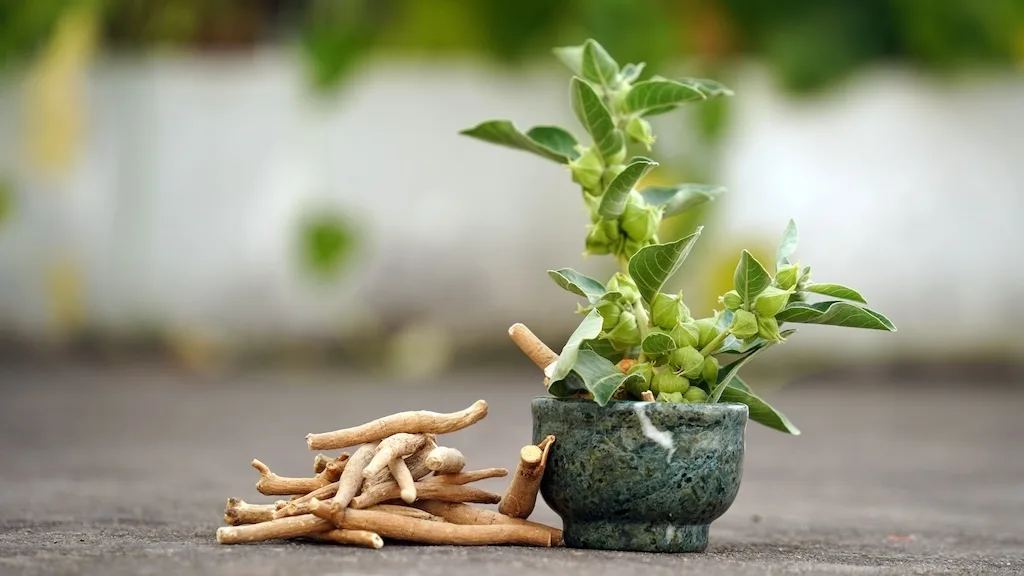 ashwagandha - cum te ajuta suplimentele cu ashwagandha Ce vitamine și minerale contribuie la îmbunătățirea energiei