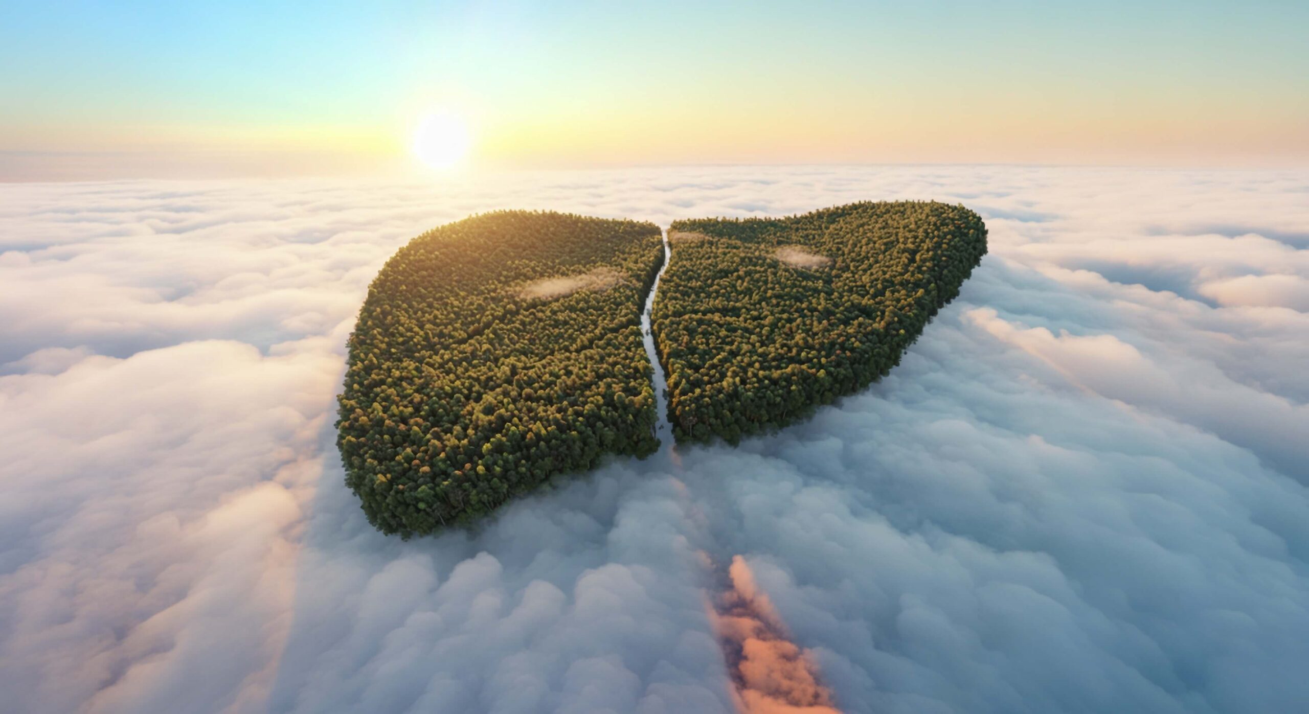 ficat sanatos -Sun Wave Pharma