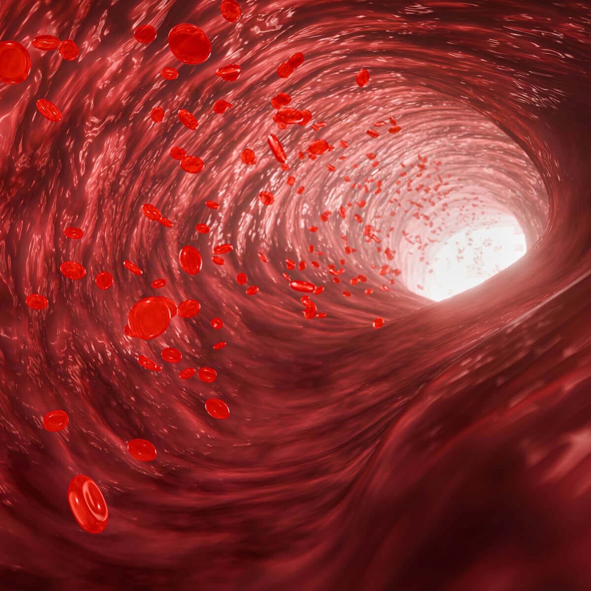 Impactul stresului prelungit asupra sistemului cardiovascular și metabolic