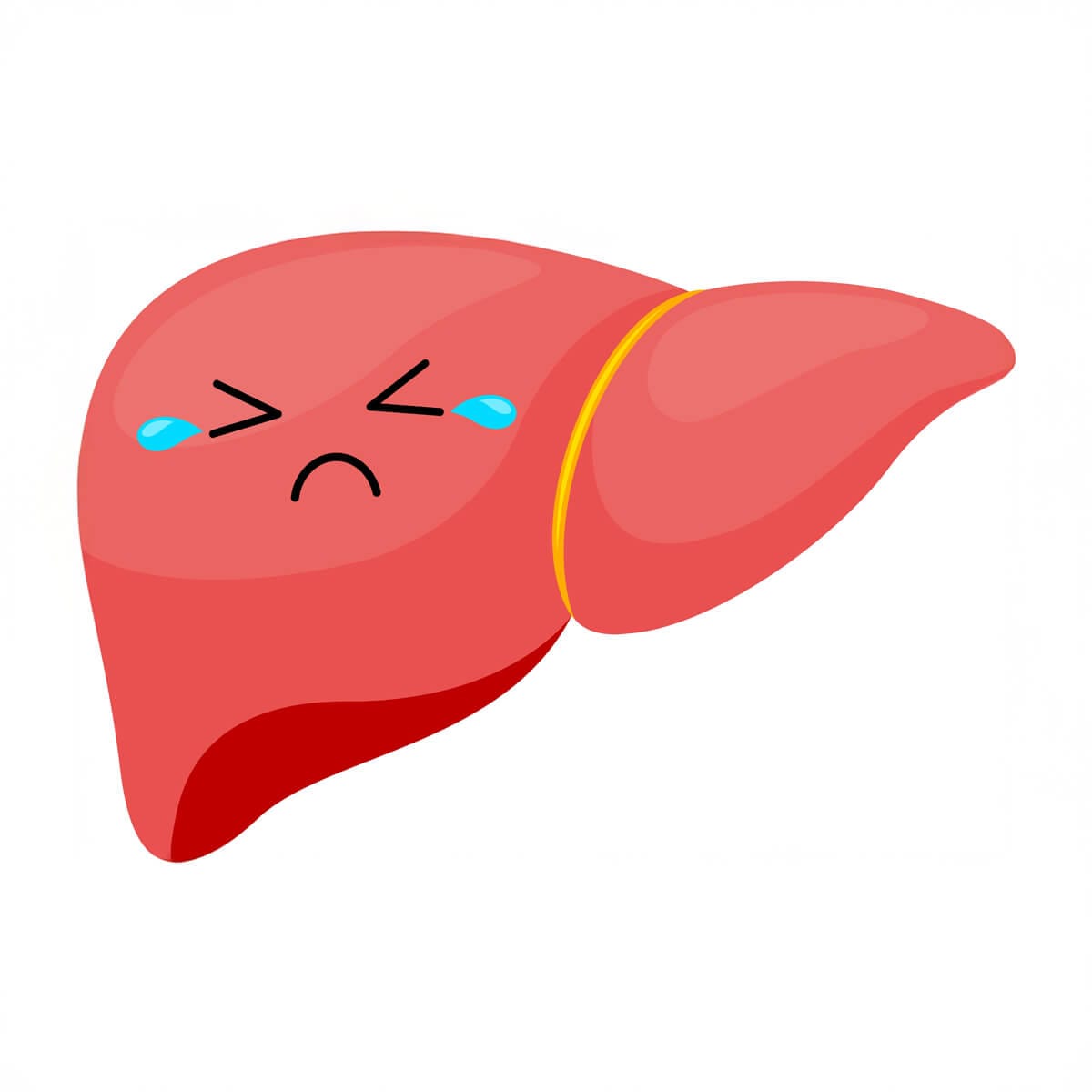 Mitul recuperării complete a ficatului după consumul de alcool