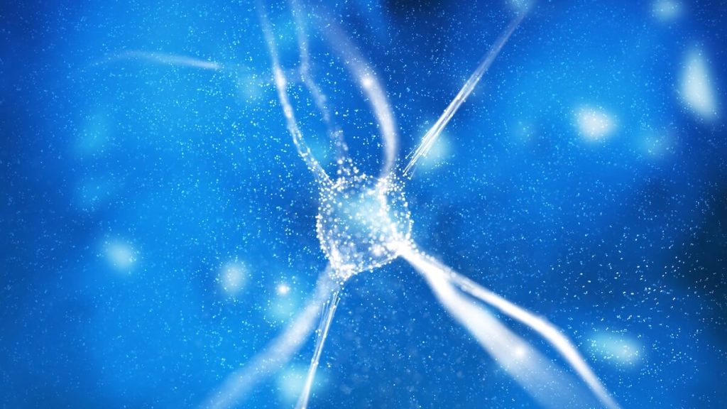 Bacozide, Saponine triterpenoide și bacozide