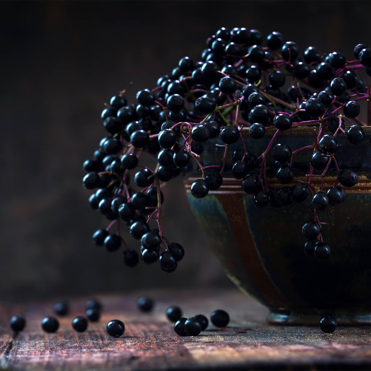Ce este Sambucus nigra și cum acționează asupra imunității