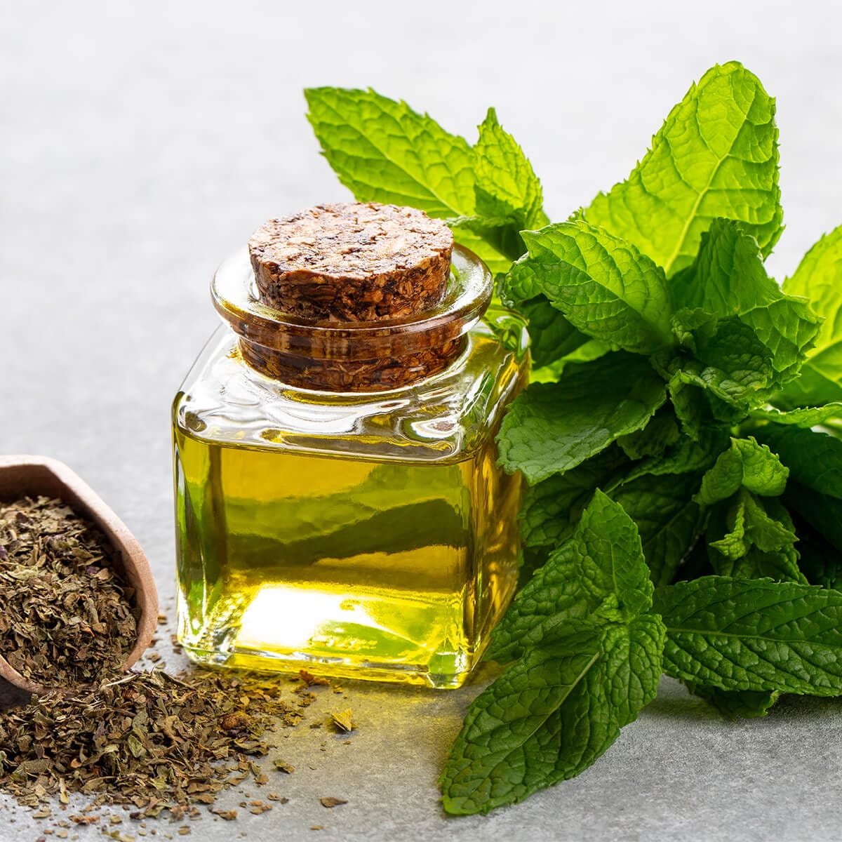 Ce este uleiul de mentă și de ce este utilizat în mod tradițional pentru confortul gâtului?