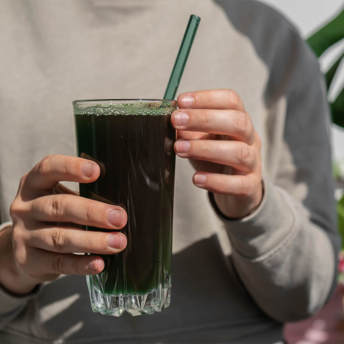 Ce profil nutrițional are spirulina