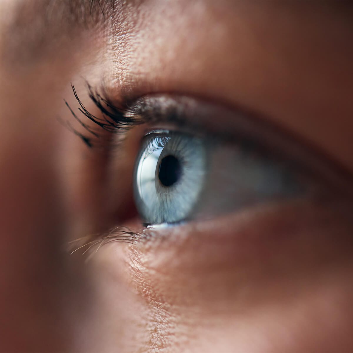 Ce sunt vitaminele pentru vedere (nutraceutice pentru vedere)