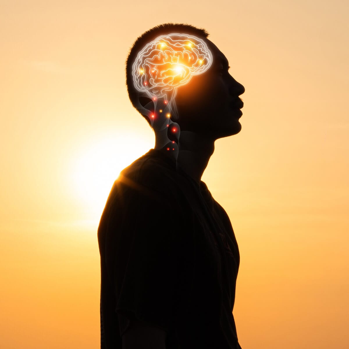 Importanța în sănătatea cognitivă