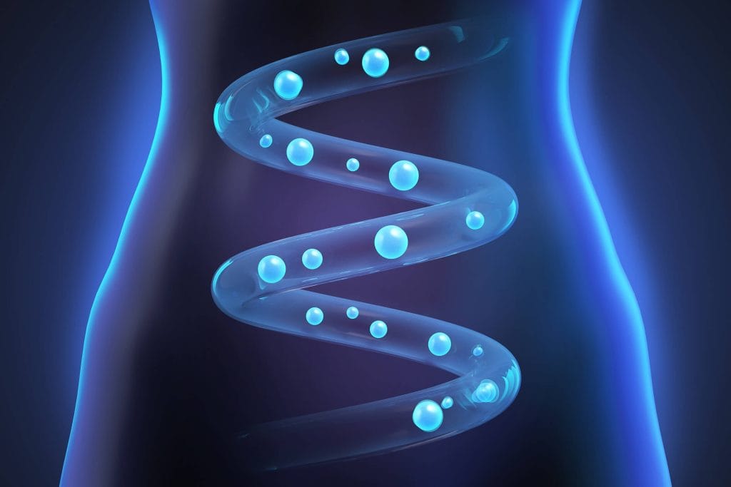 Nutraceutice pentru flora intestinală: o abordare holistică