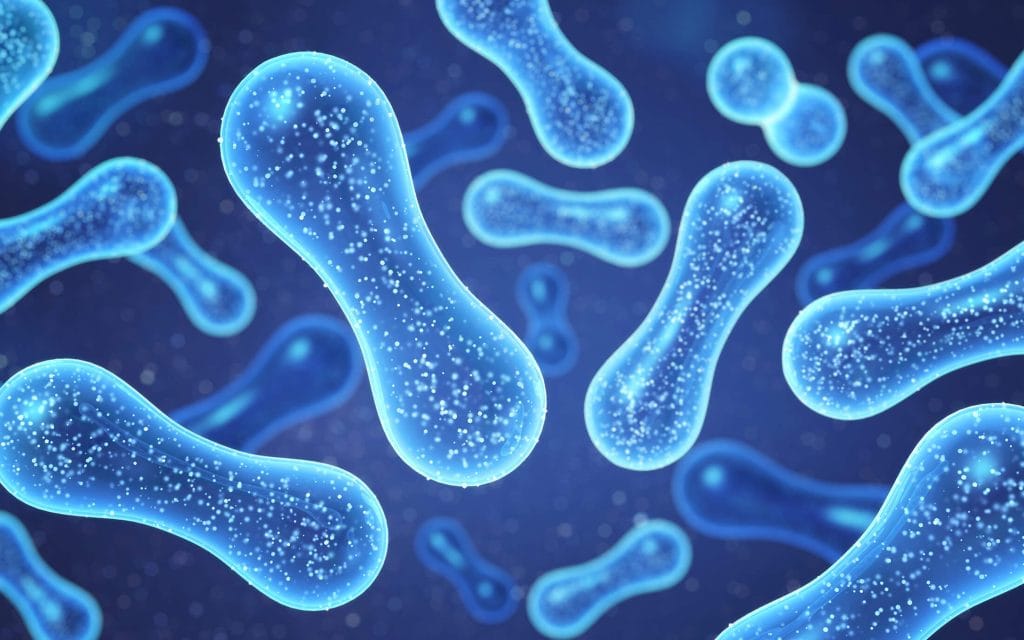 Probiotice și prebiotice