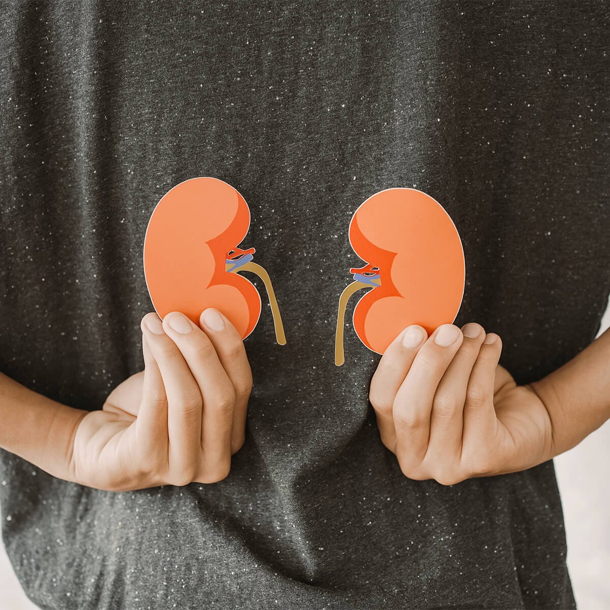 Rinichii și procesul de filtrare