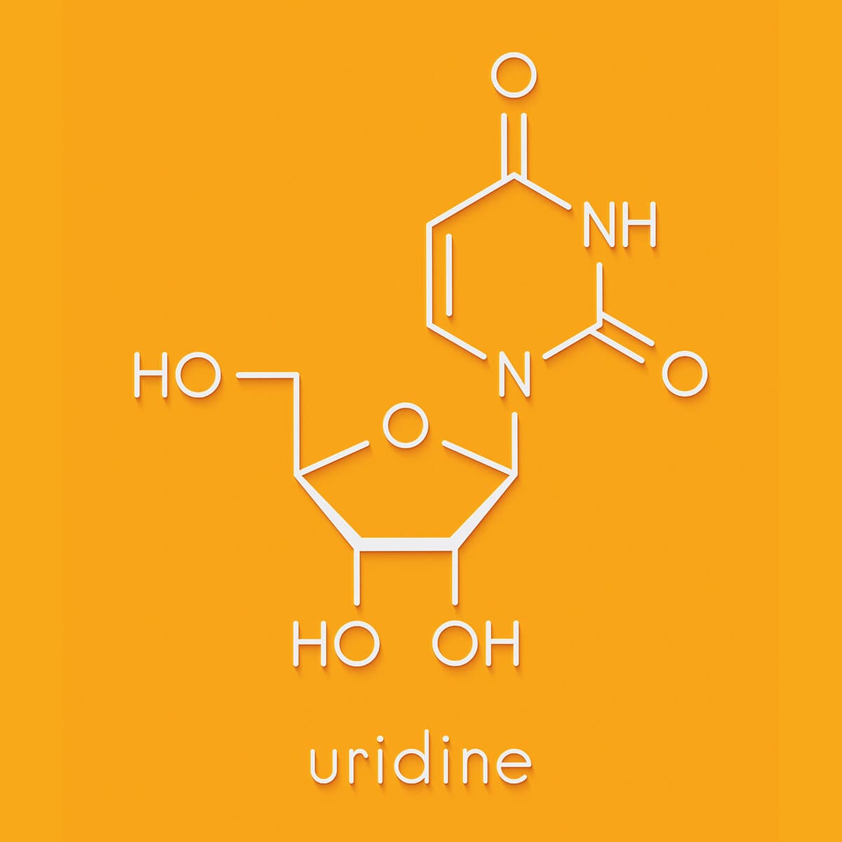 Structura uridinei și rolurile sale principale pentru sistemul nervos