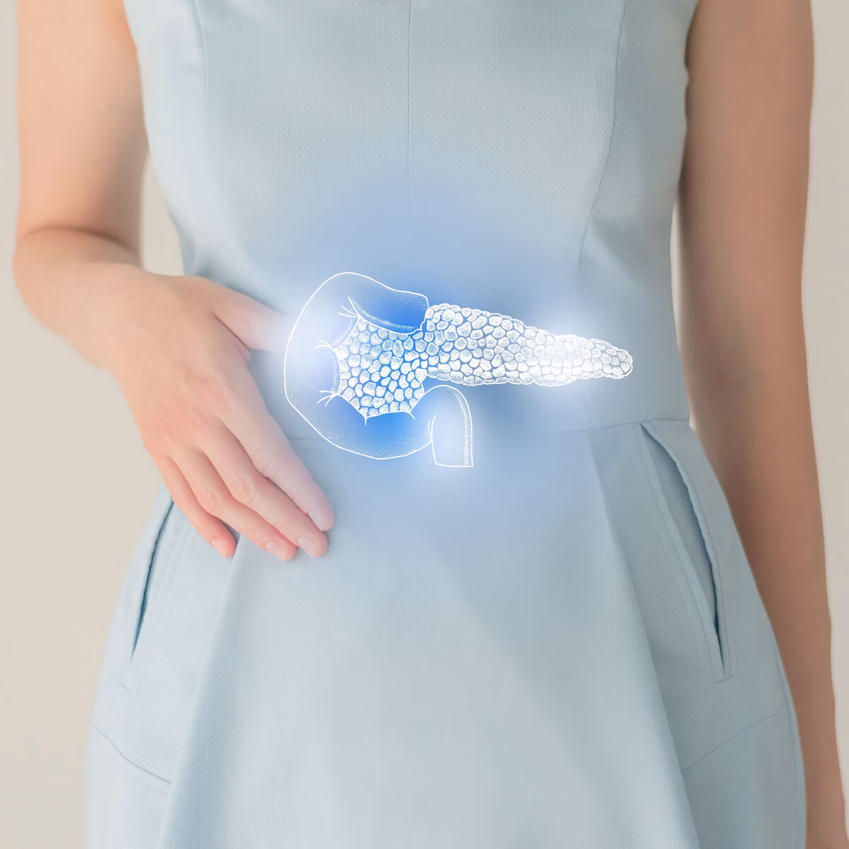 Cum funcționează enzimele digestive