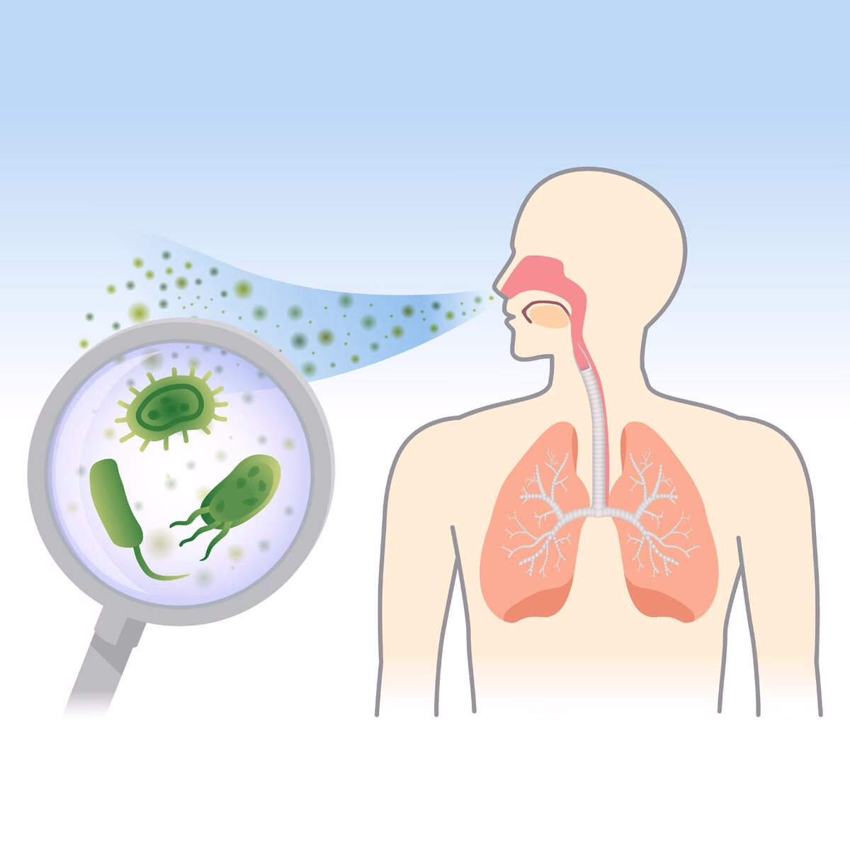 Efectele umidității scăzute asupra apărării respiratorii și transmiterii virale