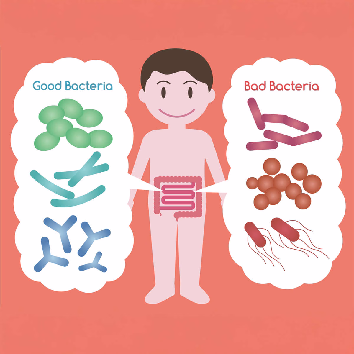 Flora intestinală sănătoasă vs flora intestinală dezechilibrată (disbioza) la copii