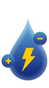 ilustratie-revisan-saruri