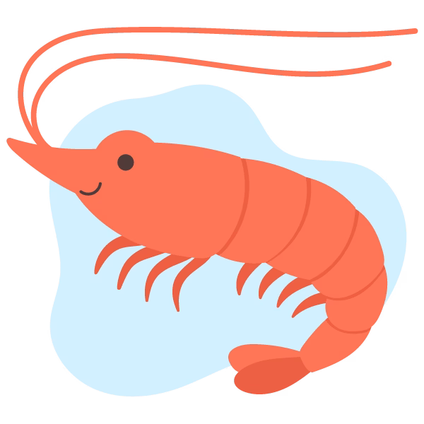 ilustratie-krill