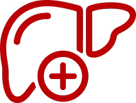 îmbunătățirea funcției hepatice